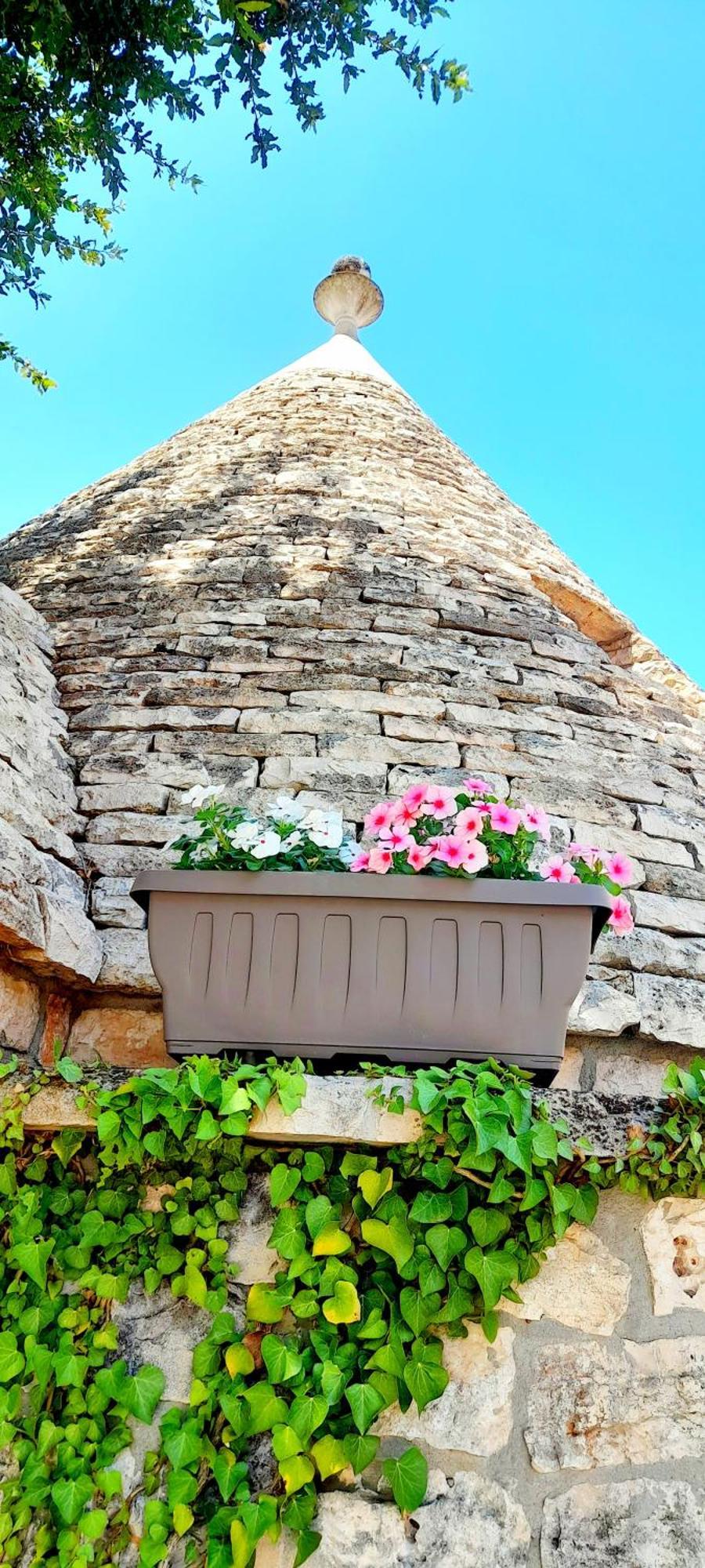 Trullo Roverella Locorotondo Eksteriør billede
